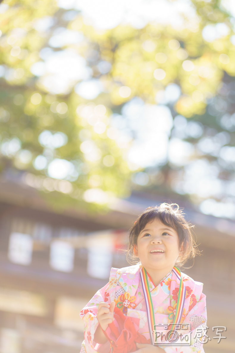 七五三　３歳　女の子　出張撮影　家族写真