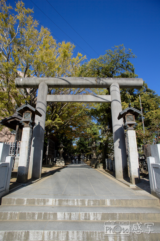 出張撮影　家族写真　千葉県　船橋市　船橋大神宮