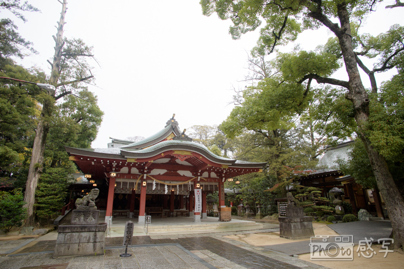 七五三　女の子　３歳　家族写真　久伊豆神社　埼玉県　越谷市　　出張撮影