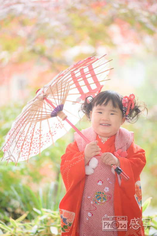 七五三　女の子　３歳　家族写真　久伊豆神社　埼玉県　越谷市　　出張撮影