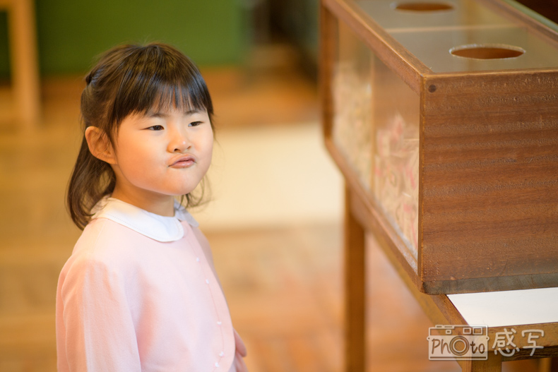 七五三　女の子　３歳　家族写真　久伊豆神社　埼玉県　越谷市　　出張撮影