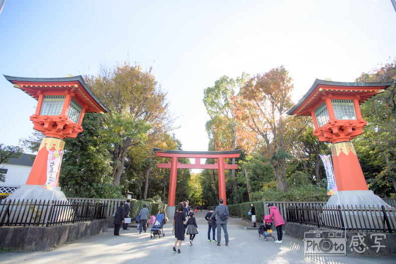 七五三　男の子　5歳　井草八幡宮　東京都　杉並区　出張撮影　家族写真