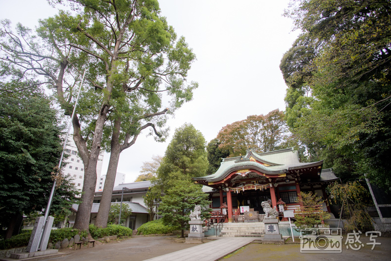 七五三　３歳　女の子　東京都　中野区　出張撮影　家族写真　中野氷川神社