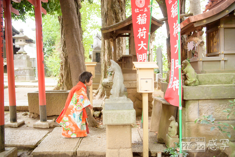 七五三　３歳　女の子　東京都　中野区　出張撮影　家族写真　中野氷川神社