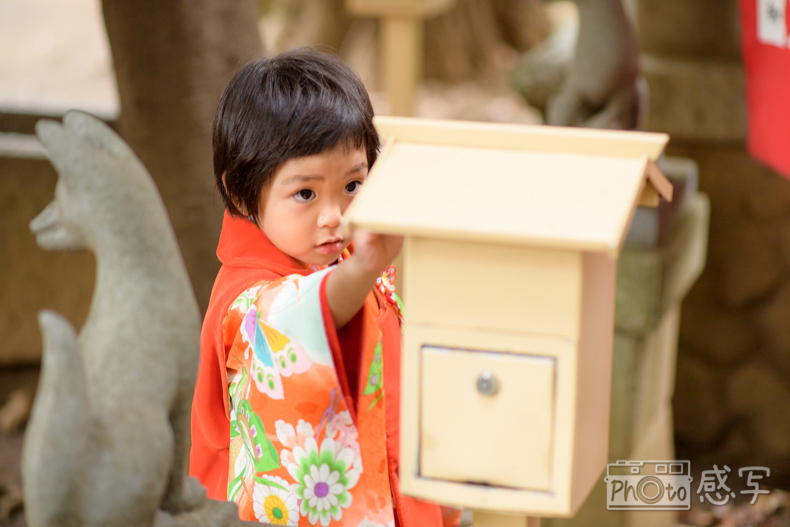 七五三　３歳　女の子　東京都　中野区　出張撮影　家族写真　中野氷川神社