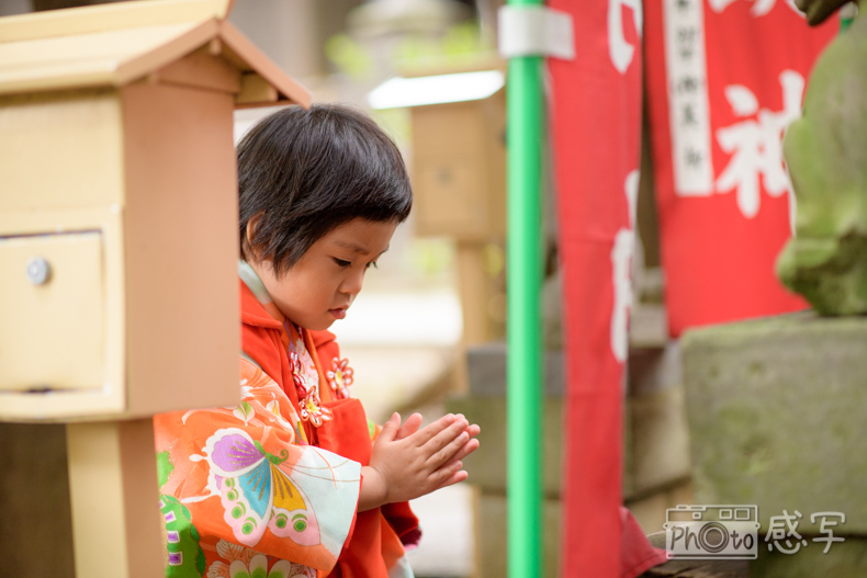 七五三　３歳　女の子　東京都　中野区　出張撮影　家族写真　中野氷川神社