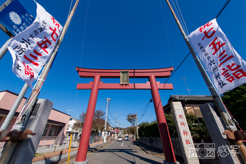 七五三　出張撮影　神奈川県　大磯　六所神社　家族写真