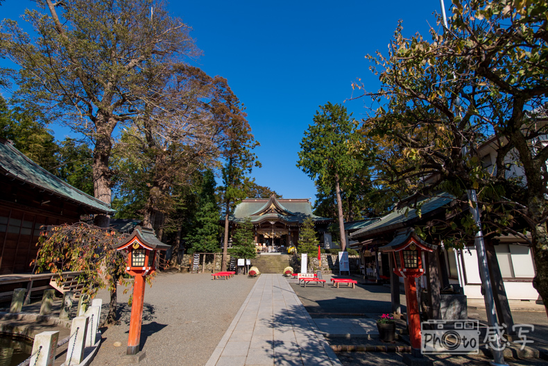 七五三　出張撮影　神奈川県　大磯　六所神社　家族写真