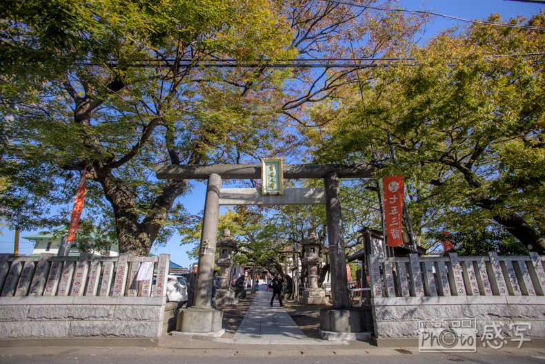 七五三　５歳　男の子　出張撮影　家族写真　浦安市　豊受神社
