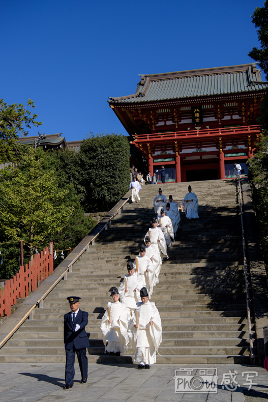 鶴岡八幡宮　大祓