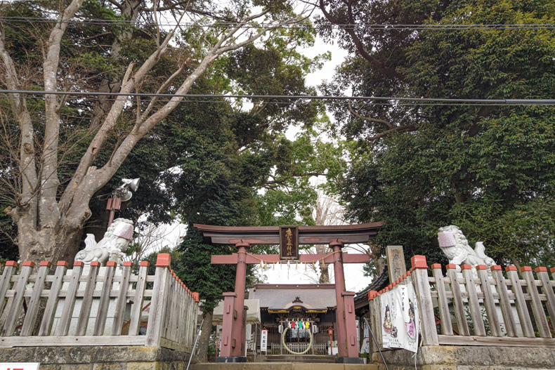 七五三　出張撮影　千葉県　佐倉市　麻賀多神社　家族写真