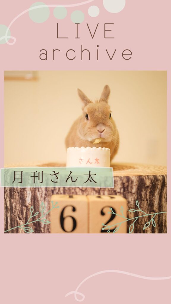 うさぎのさん太６２ヶ月