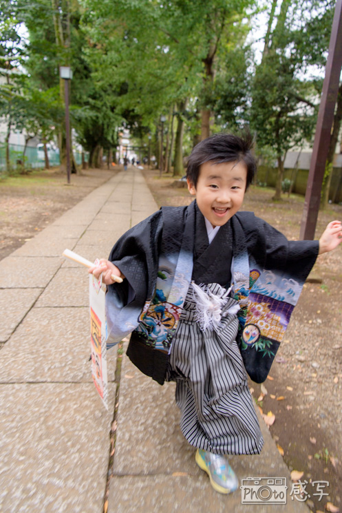 八雲氷川神社 七五三 出張撮影 家族写真