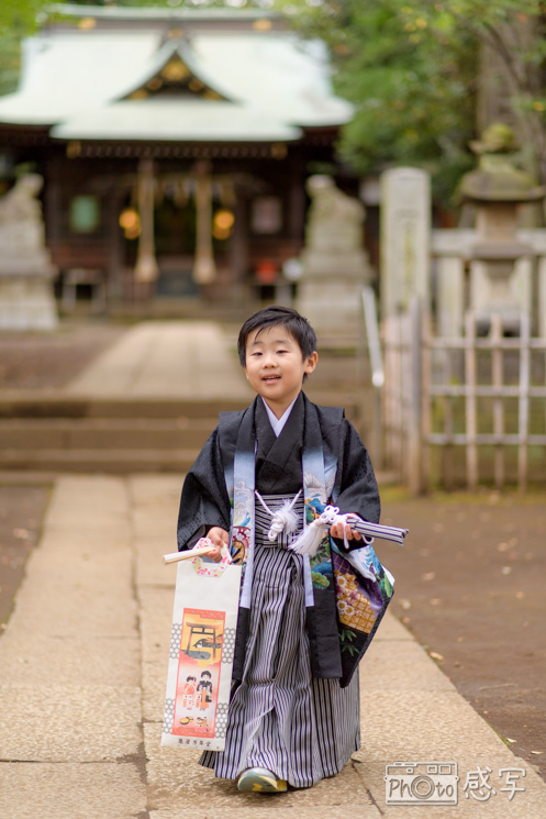 八雲氷川神社 七五三 出張撮影 家族写真