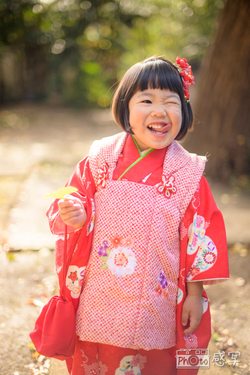 氷川台　氷川神社　七五三　出張撮影　家族写真　ファミリーフォト３