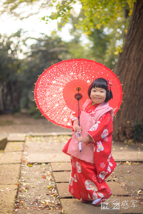 氷川台　氷川神社　七五三　出張撮影　家族写真　ファミリーフォト