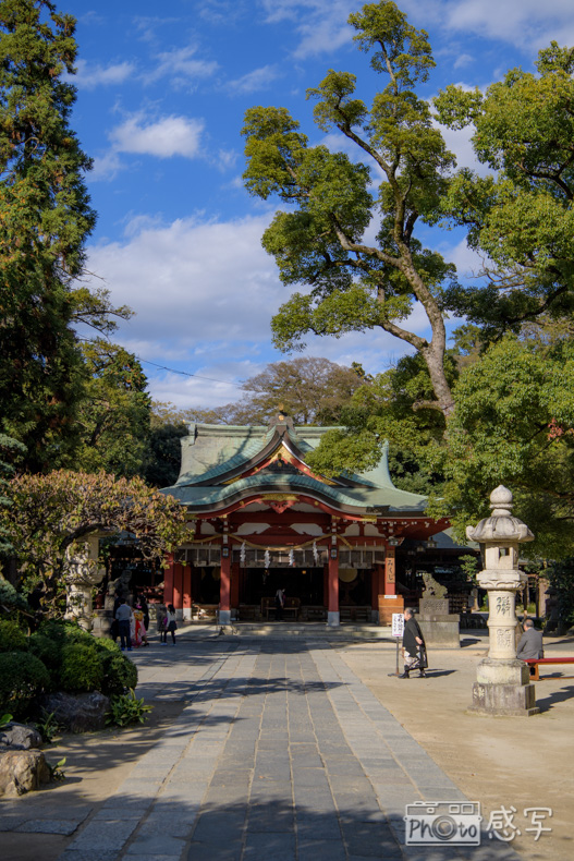 埼玉県　越谷市　久伊豆神社　七五三　出張撮影　家族写真