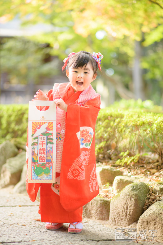 埼玉県　越谷市　久伊豆神社　七五三　出張撮影　家族写真