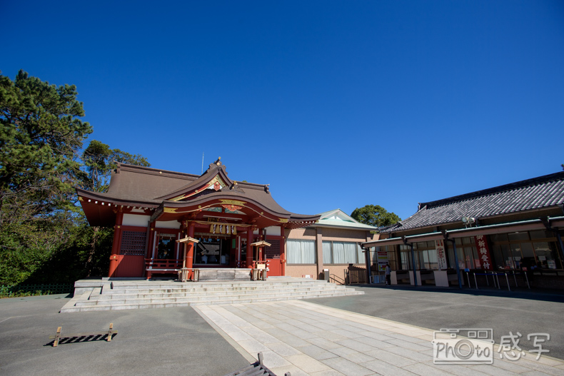 稲毛浅間神社　七五三　家族写真　ファミリーフォト