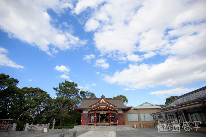 稲毛浅間神社　七五三　家族写真　ファミリーフォト