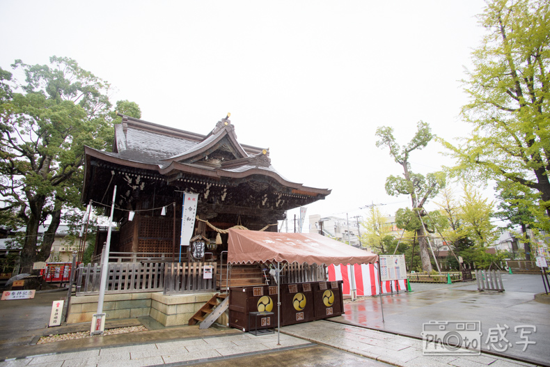 溝口神社　七五三　家族写真　ファミリーフォト