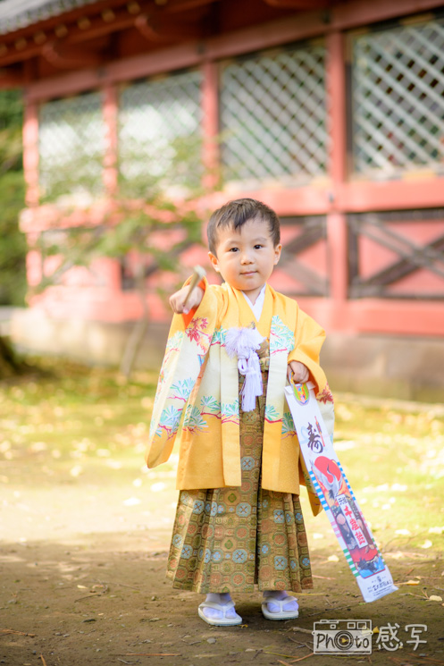 根津神社　七五三　出張撮影　ファミリーフォト６