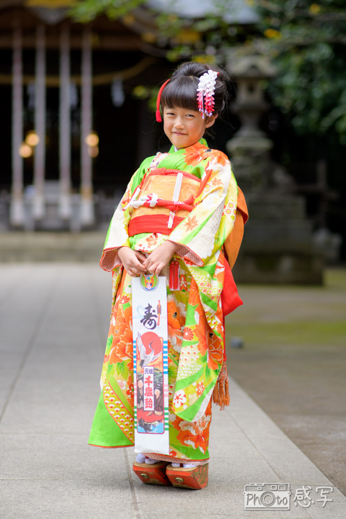石神井氷川神社　七五三　出張撮影　家族写真