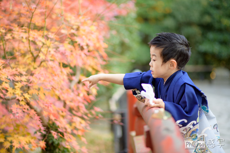 鶴岡八幡宮　七五三　出張撮影　家族写真　ファミリーフォト