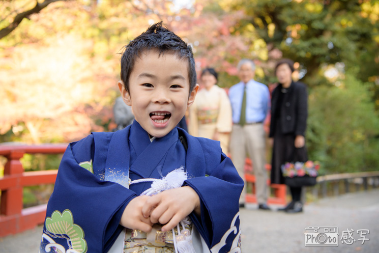 鶴岡八幡宮　七五三　出張撮影　家族写真　ファミリーフォト